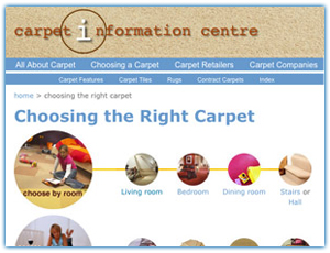 CarpetInfo website design